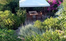 Aegina'S Oasis
